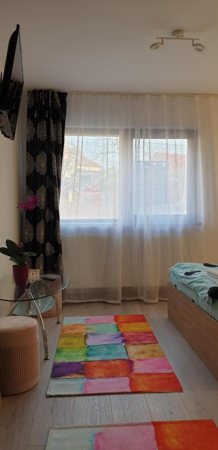 Apartamento Casa Ana Cluj-Napoca Exterior foto